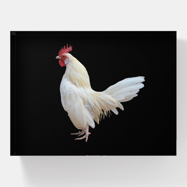 WHITE ROOSTER PAPERWEIGHT (Front)