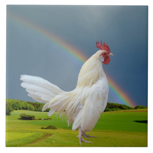 WHITE ROOSTER UNDER A RAINBOW CERAMIC TILE