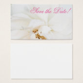 White rose (Front & Back)