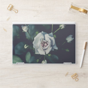 white rose (2) HP laptop skin