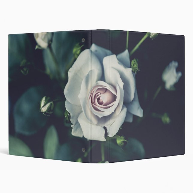 white rose 3 ring binder (Background)