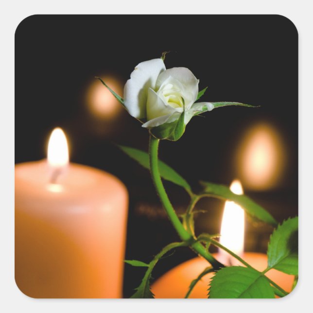 White rose and candle square sticker (Front)