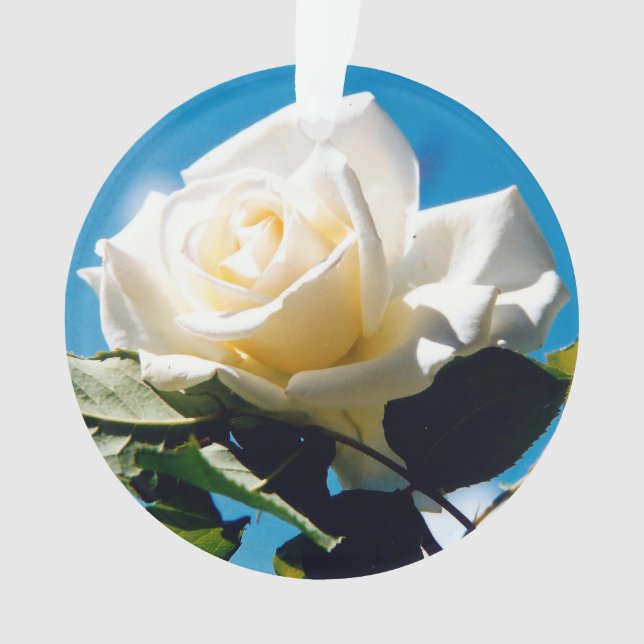 White Rose Beauty  Ornament (Front)