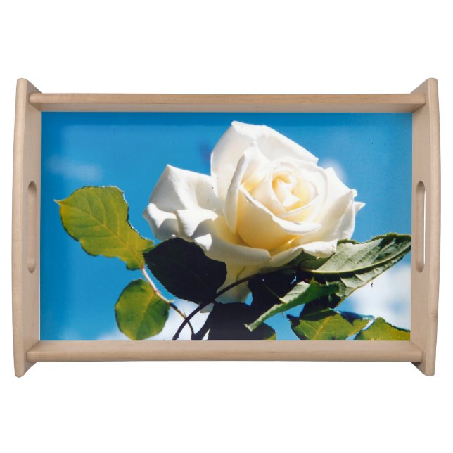  White Rose Beauty  Serving Tray (Front)