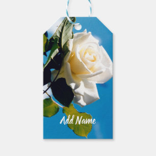 White Rose Beauty Under Blue Sky   Gift Tags