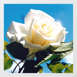 White Rose Beauty Wall Decal