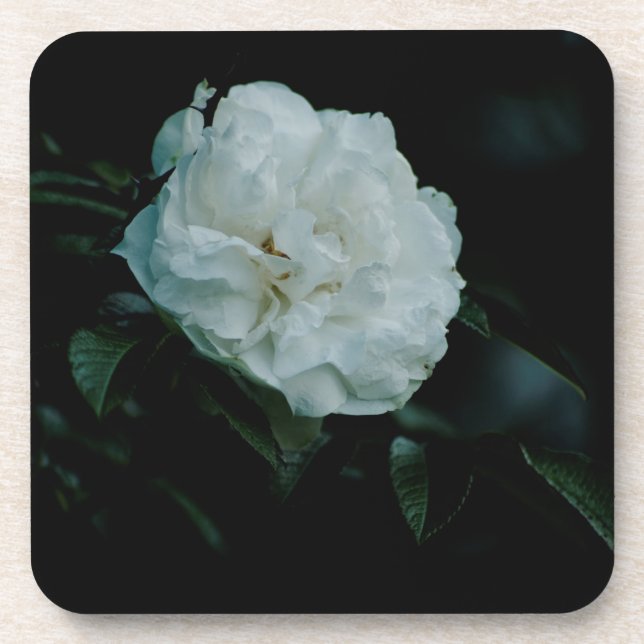 White Rose Beverage Coaster (Front)
