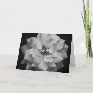 White Rose Black and White Art Note Card