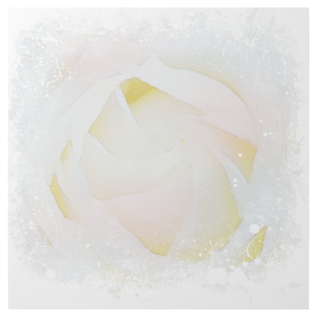 *~* White Rose Blush Pink Floral Abstract AR8 Gallery Wrap (Front)