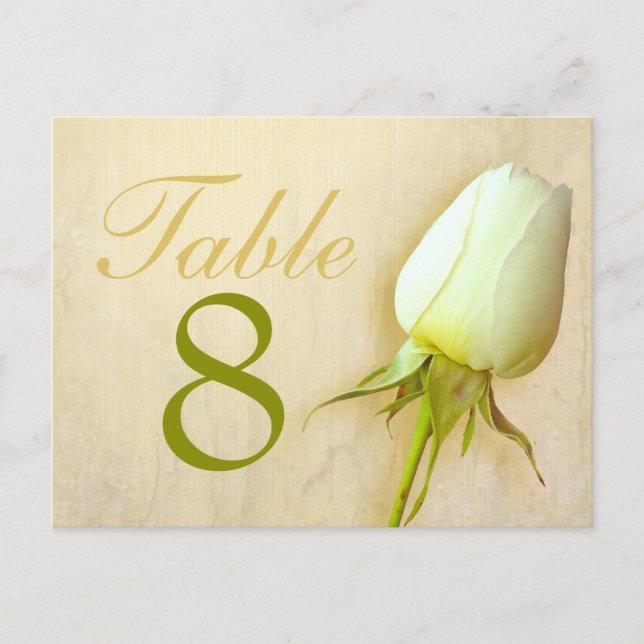 White rose bud wedding table number 1-9 postcard (Front)