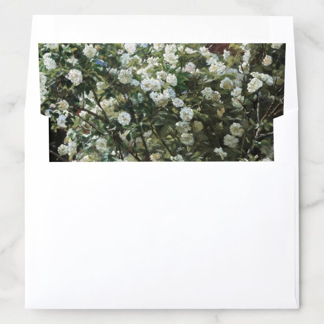 White Rose Bush Envelope Liner (In Envelope)