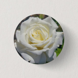 White Rose Button