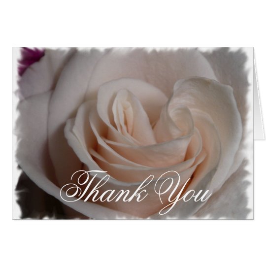 White Rose Card