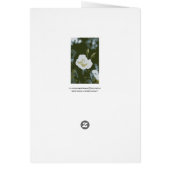 White Rose Cards (Back)