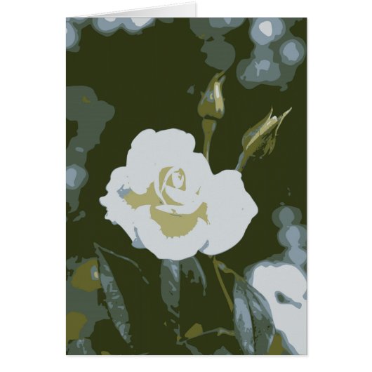 White Rose Cards (Front)