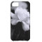 White Rose