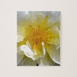 White rose center jigsaw puzzle