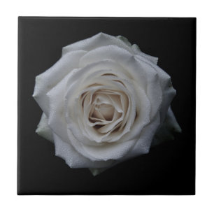 White rose ceramic tiles
