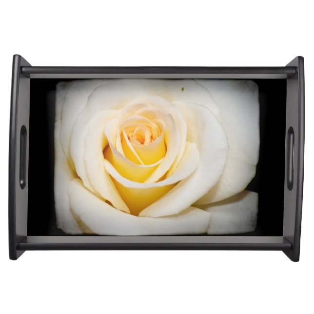 White Rose close-up Black Border Serving Tray (Front)