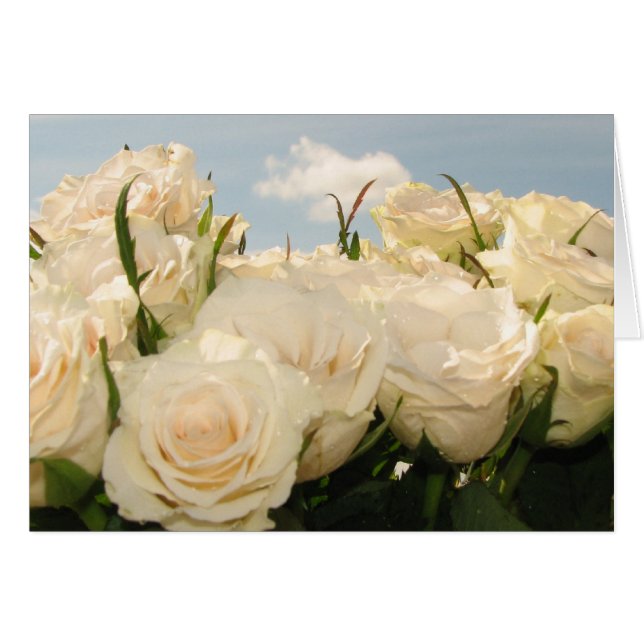 White rose delight cards (Front Horizontal)