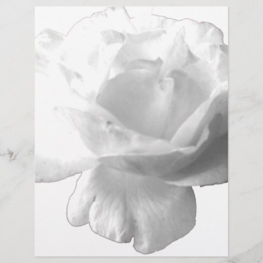 White Rose Design (Front)