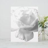 White Rose Design (Standing Front)