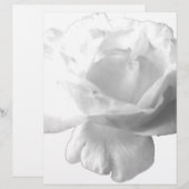 White Rose Design (Front/Back)