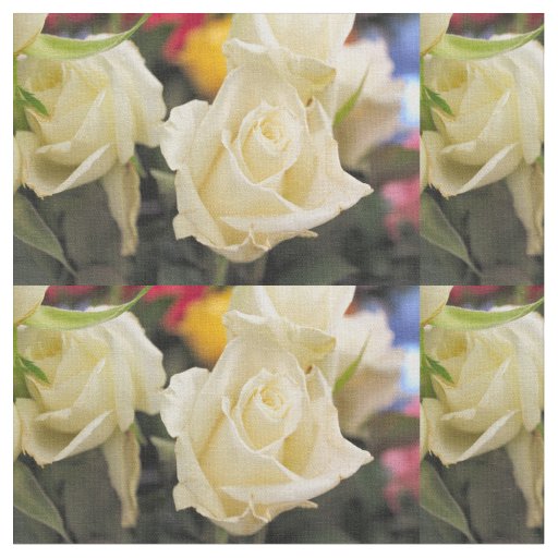 White rose fabric