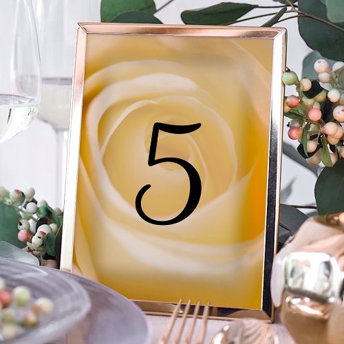 White Rose Floral Table Numbers