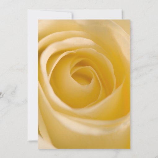 White Rose Floral Wedding Invitation | Zazzle