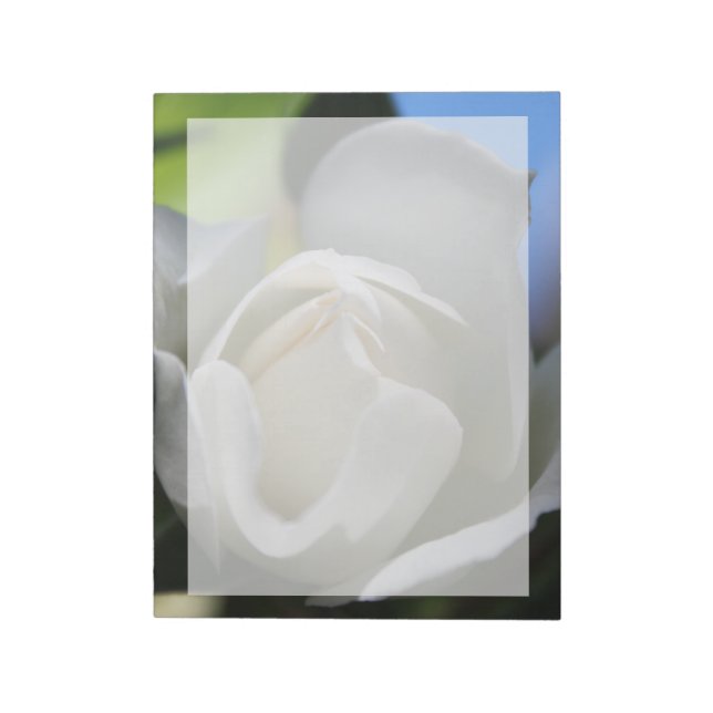 White rose flower.  Floral photography. Notepad (Rotated)