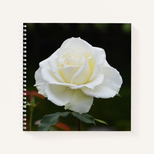 White rose flower notebook (Front)