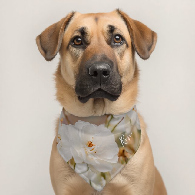 White Rose Flowers Botanical Photo Custom Pet Name Bandana Collar (Dog 2)