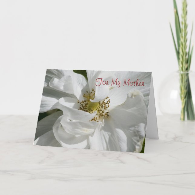 White Rose for Mom Card (Front)