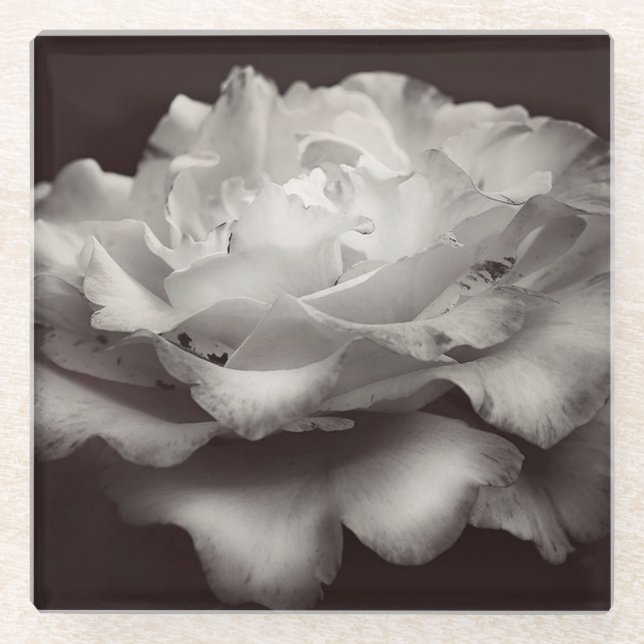 White Rose Glass Coaster (Front)