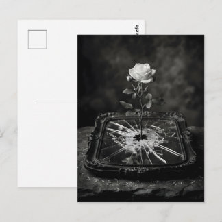 White rose growing from cracked mirror postcard