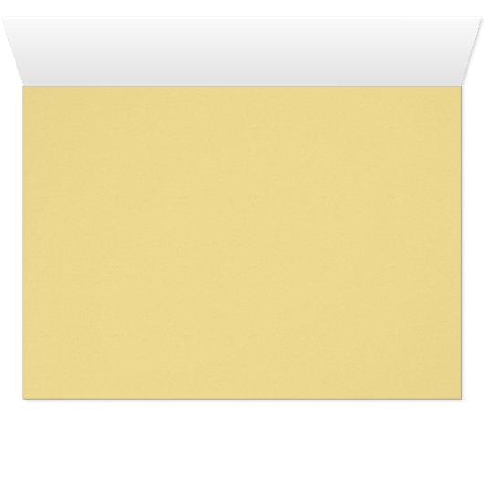 White Rose in Sunshine (Inside Horizontal (Bottom))