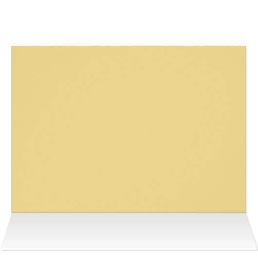 White Rose in Sunshine (Inside Horizontal (Top))