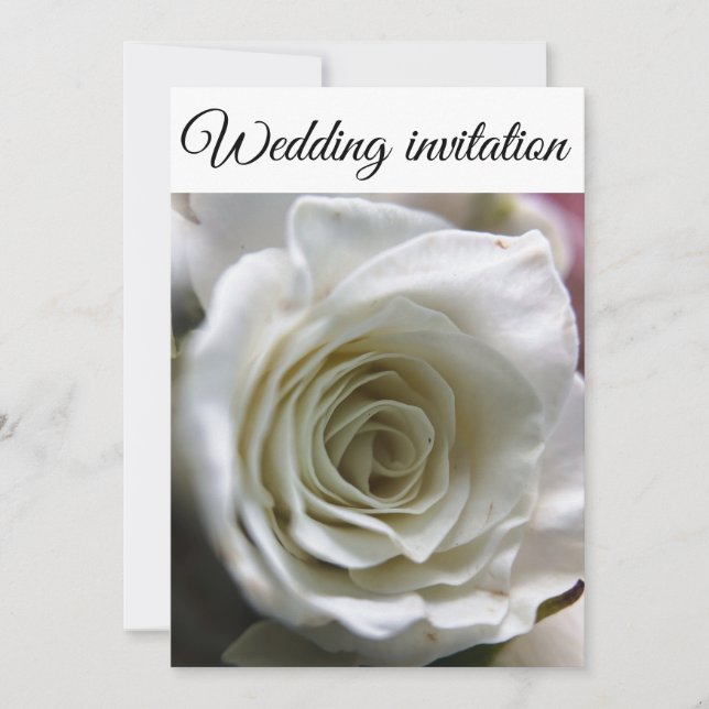 White rose. invitation (Front)