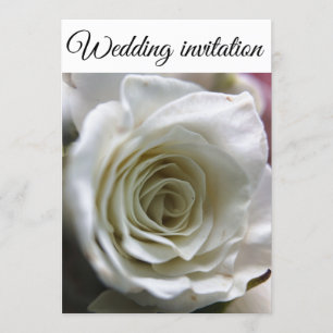 White rose. invitation