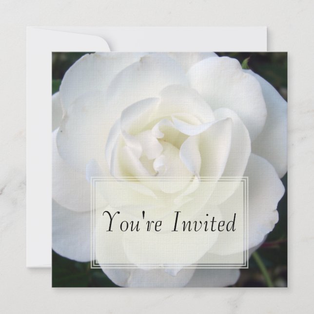 White Rose Invitations (Front)