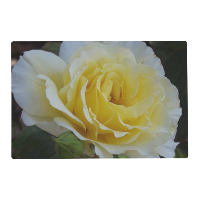 White Rose Laminated Placemat (Front)