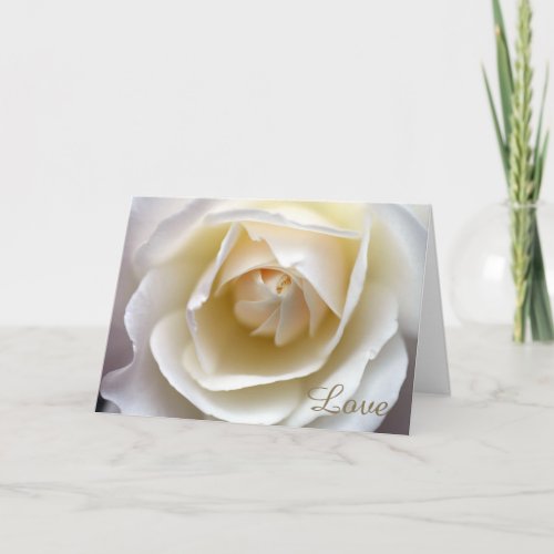 White Rose Love Card