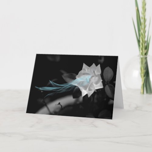 White Rose Magic Photo Birthday Card