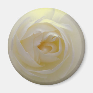 White Rose Magnet Flower Gifts Keepsake Decor