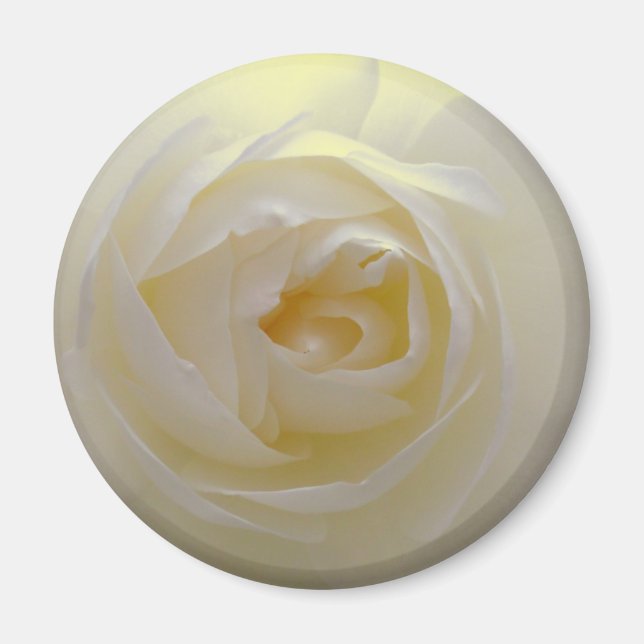 White Rose Magnet Flower Gifts Keepsake Decor (Front)