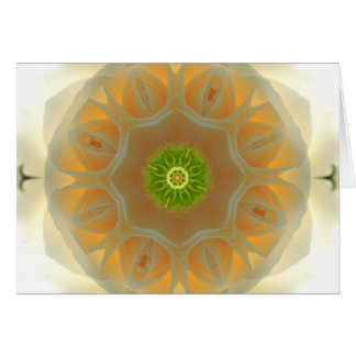 White Rose Mandala Cards