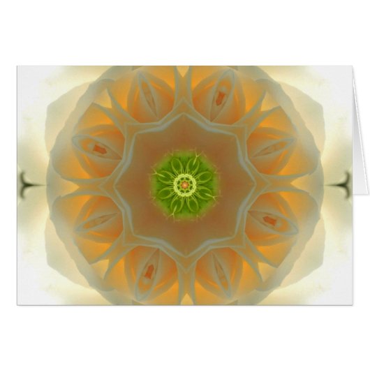 White Rose Mandala Cards (Front Horizontal)