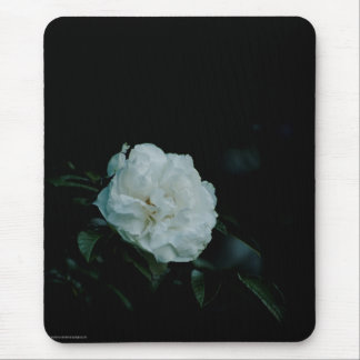 White Rose Mouse Pad