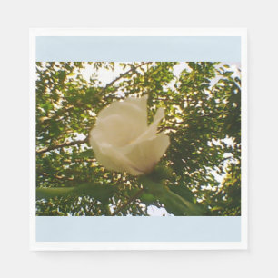 White Rose Napkins